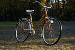 Puch Damcykel. B342