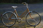 Puch Damcykel. B342