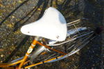 Puch Damcykel. B342