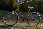 Puch Damcykel. B342