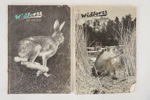 2st Widforss Jakt Fiske Sport 1961 & 1964. A265/