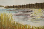 Cumé van Ocke, sjö med hög gräs, 54x44, akvarell. M24/