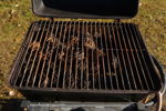 Landmann Gasolgrill. B110