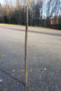 Spett 4,3kg. B208