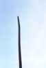 Spett 4,3kg. B208