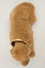 Nickande hund. A246