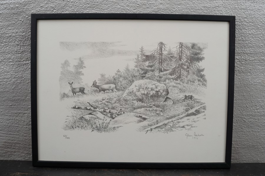 Göran Boström litografi (skog/rådjur) 41,5x31,5cm. M44