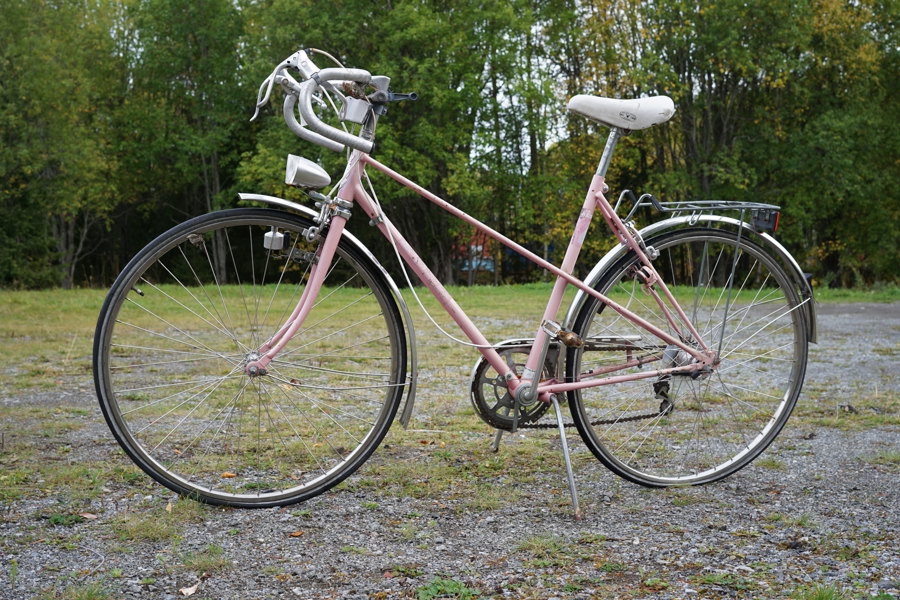 Rex cykel rosa. B375