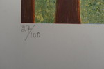 7002d_8dce7915f03ecc4_sm.jpeg