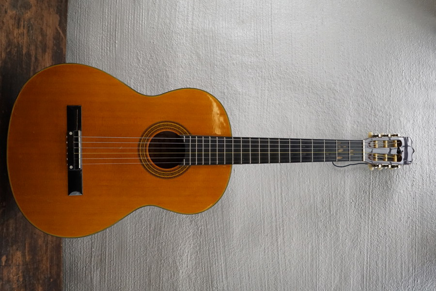 Emperador E-100 akustisk gitarr. B103